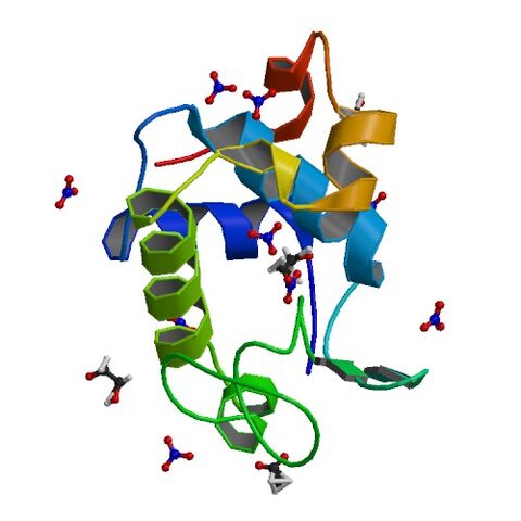 File:2VB1 bio r 500.jpg