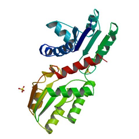 File:1QGO bio r 500.jpg