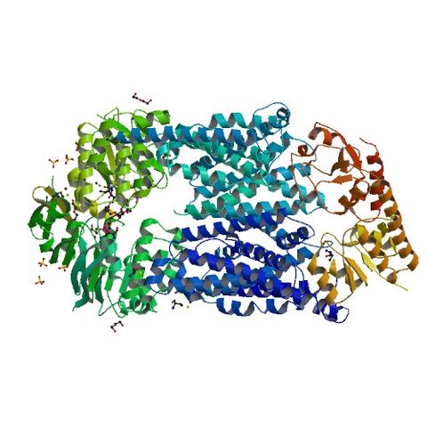 File:2QI9 bio r 500.jpg