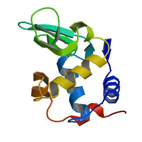 File:135L bio r 500.jpg