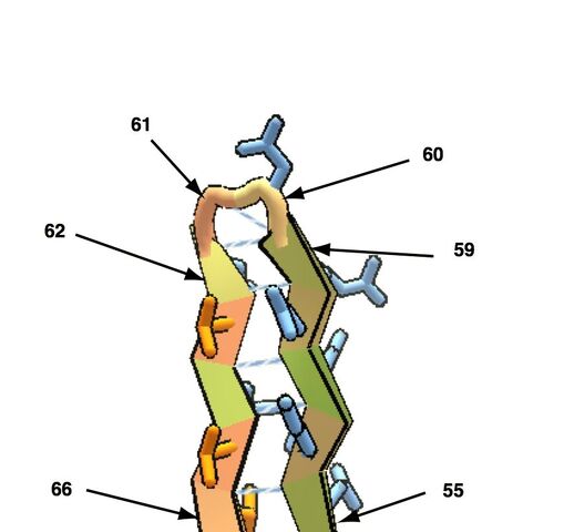 File:E-L2 E.jpg