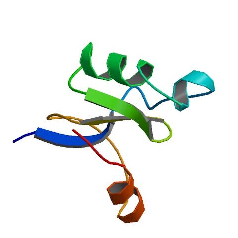 File:1BCG asym r 500.jpg