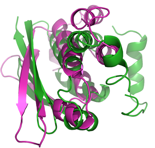 Datei:T0598m2a.png