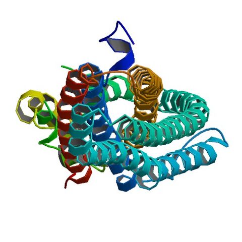File:2NRJ bio r 500.jpg