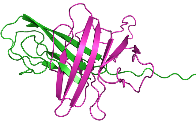 Datei:T0590m2a.png