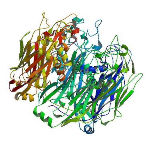 File:1M4X asym r 500.jpg