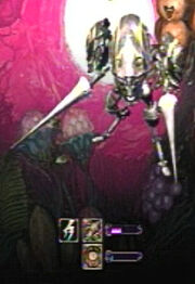 Folk Ga-boi screen