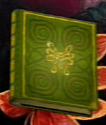 Item picture book Faery Realm