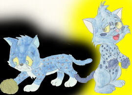 Ralph'sKittens
