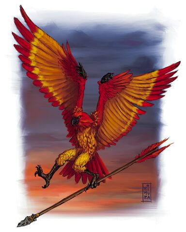 File:Races of faerun - Aarakocra - Raven Mimura - 131.jpg