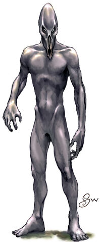 File:Bodak - Sam Wood.jpg