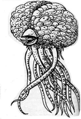 File:Grell 1e.jpg