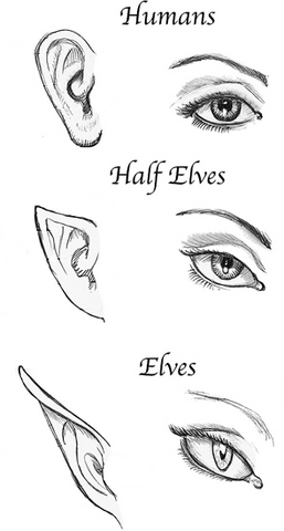 File:EyesAndEars.png