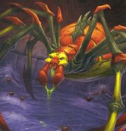 Maexxna TCG NAX-R 4.jpg