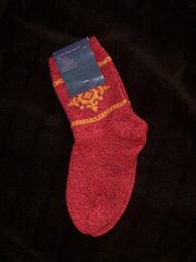 Wandersleutesocken1.jpg