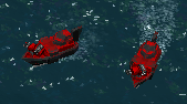 Pirate