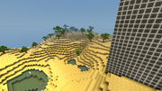 Desert