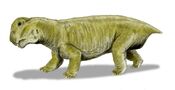Lystrosaurus BW