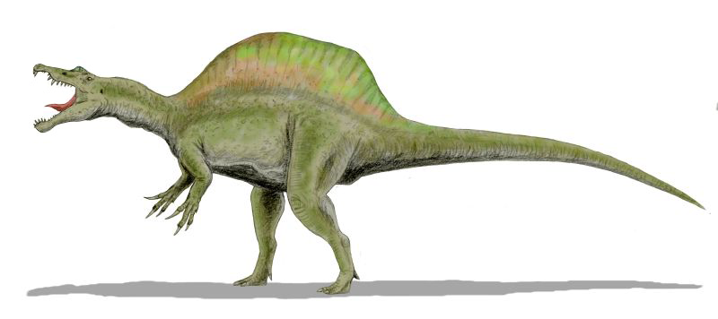 who found the first spinosaurus fossil