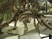 Huayangosaurus taibaii