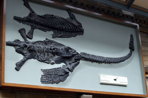 Attenborosaurus