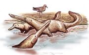 The remingtonocetids