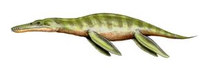 Liopleurodon BW