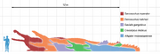 Crocodilians scale