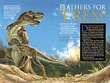 Archeoraptor NG article