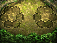 Jungle Labyrinth-0