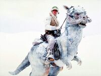 Lukeetsontauntaun.jpg