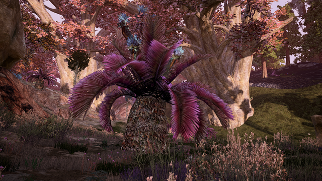 File:Sago Palm2.png