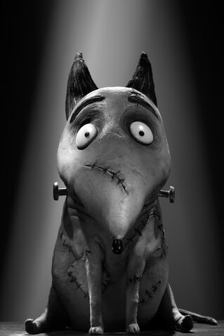 File:SparkyPromo.jpeg
