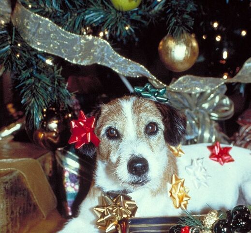 File:Christmaseddie.jpeg