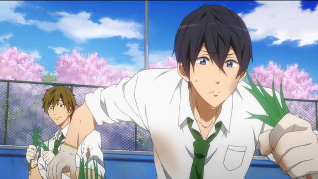 File:Haruka grass.png