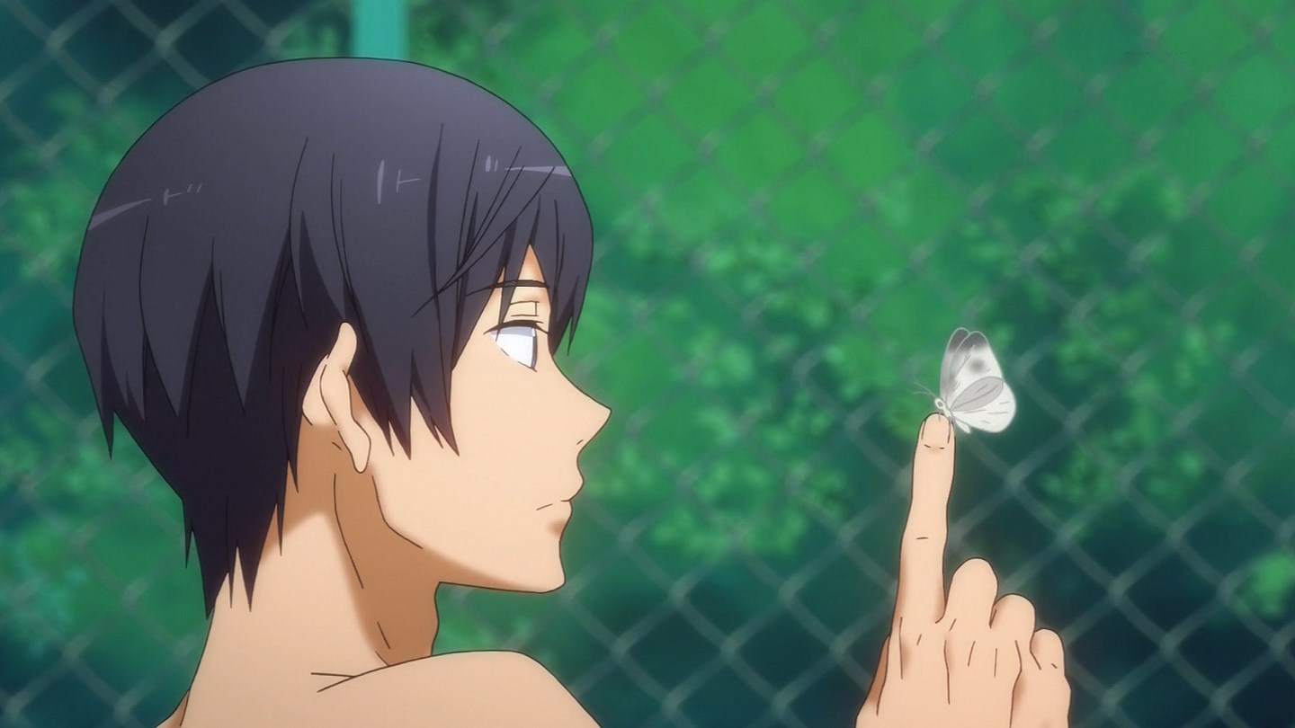 Image - Haru 49.jpg | Free! Wiki | FANDOM powered by Wikia