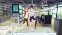Haruka-Makoto-Nagisa 1.jpg