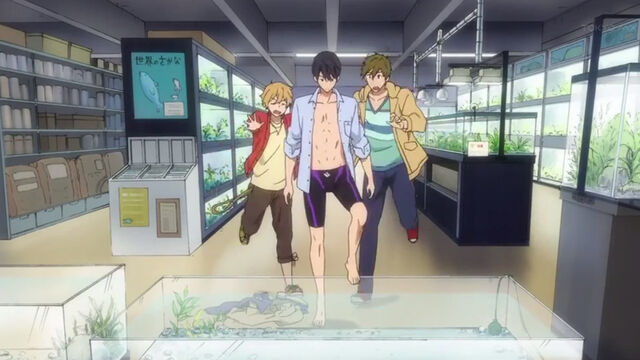 Datei:Haruka-Makoto-Nagisa 1.jpg