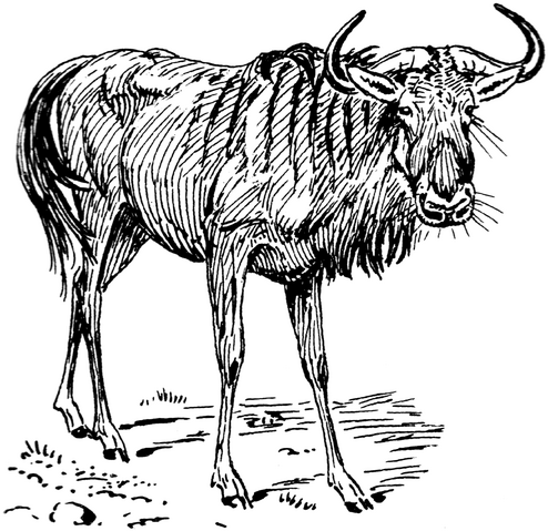 File:Gnu (PSF).png
