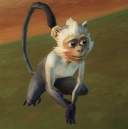 Monkey
