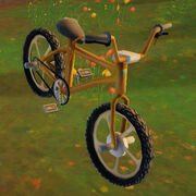 Bicycle Ride