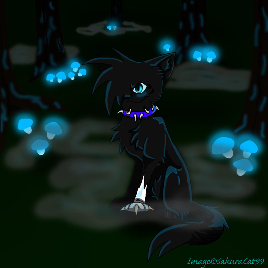 By The Stars Lyrics Warrior Cats By The Stars Lyrics Warrior Cats