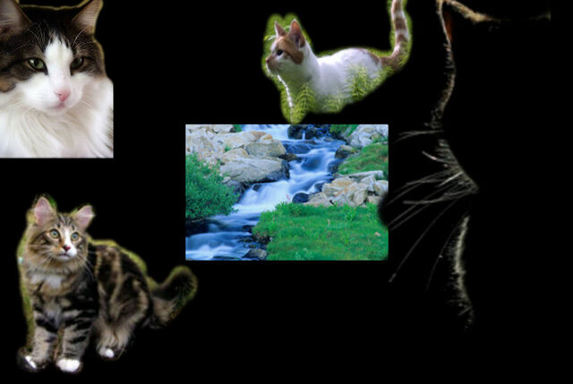 File:Pizap.com10.14078250760212541381348382781.jpg