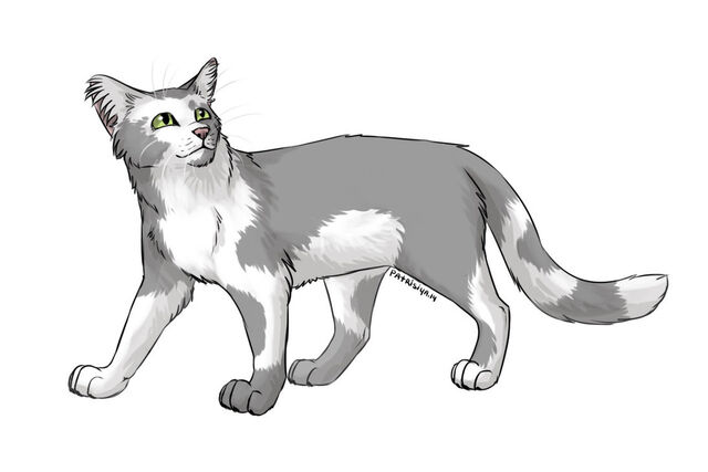 File:Hazelpaw.jpg