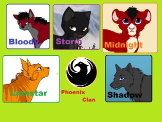 Phoenix Clan