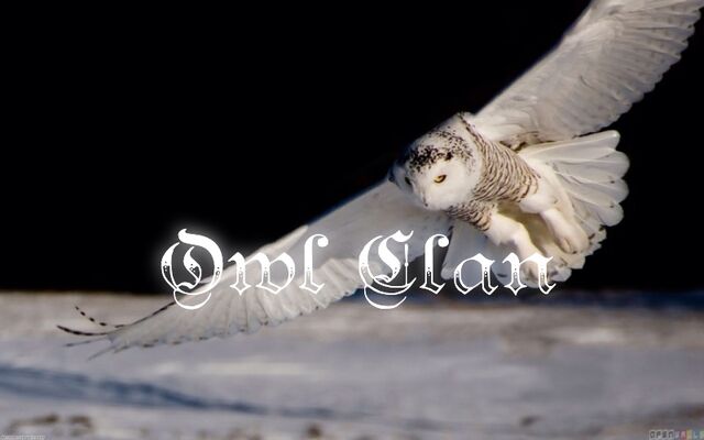 File:Owl Clan.jpg