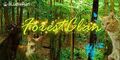 Thumbnail for version as of 12:17, October 14, 2013