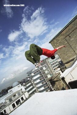 Backflip off roof