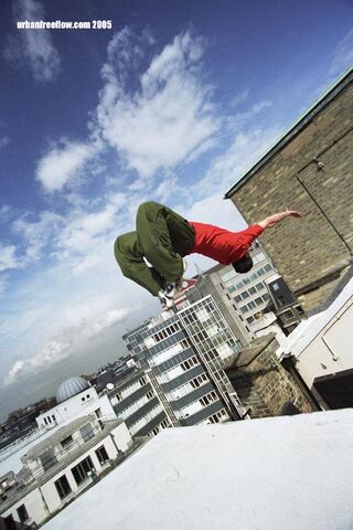 File:Backflip off roof.jpg