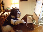 Can't get enough Face-Time